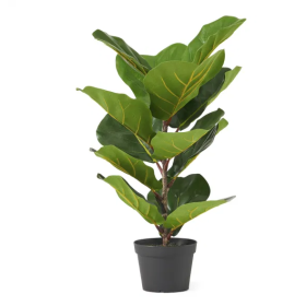 65CM Artificial Fiddle Leaf Fig Tree (Color: Green)